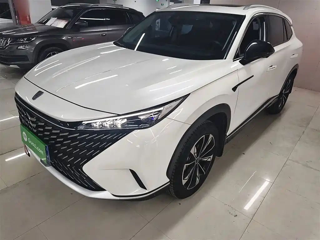 Roewe RX5 2023 1.5T Superior Edition