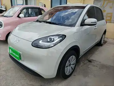 Wuling Bingo