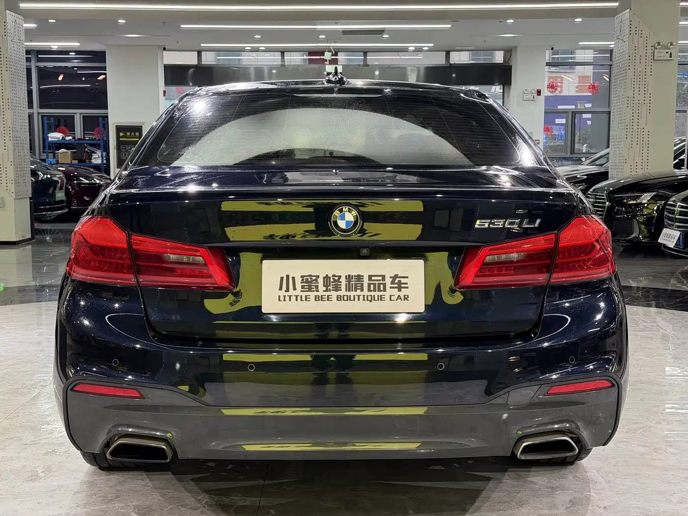 BMW 5 Series 2019 530Li Leading M Sport Package фото 15