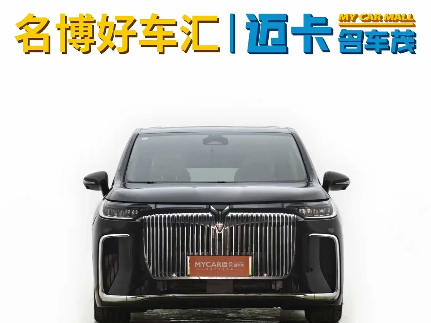 Voyah Auto Voyah Dreamer 2025 PHEV AWD Flagship Kunpeng Edition фото 2