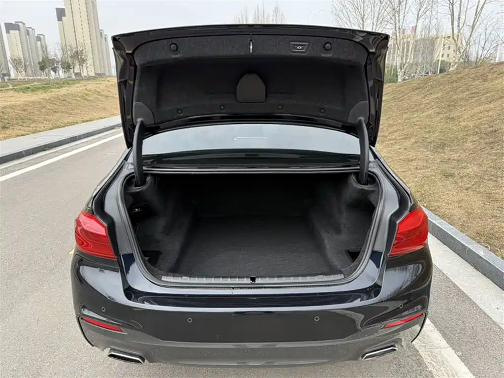 BMW 5 Series 2018 Facelift 530Li Leading M Sport Package фото 10
