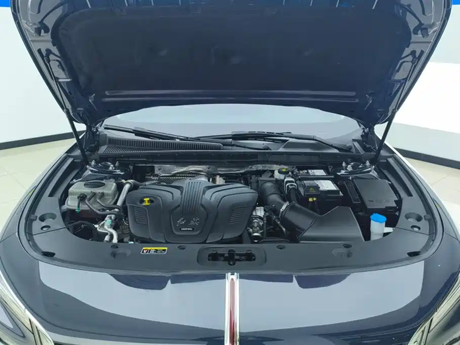 Hongqi H5 2024 2.0T Automatic Smart Connect Flag Leader Edition фото 10