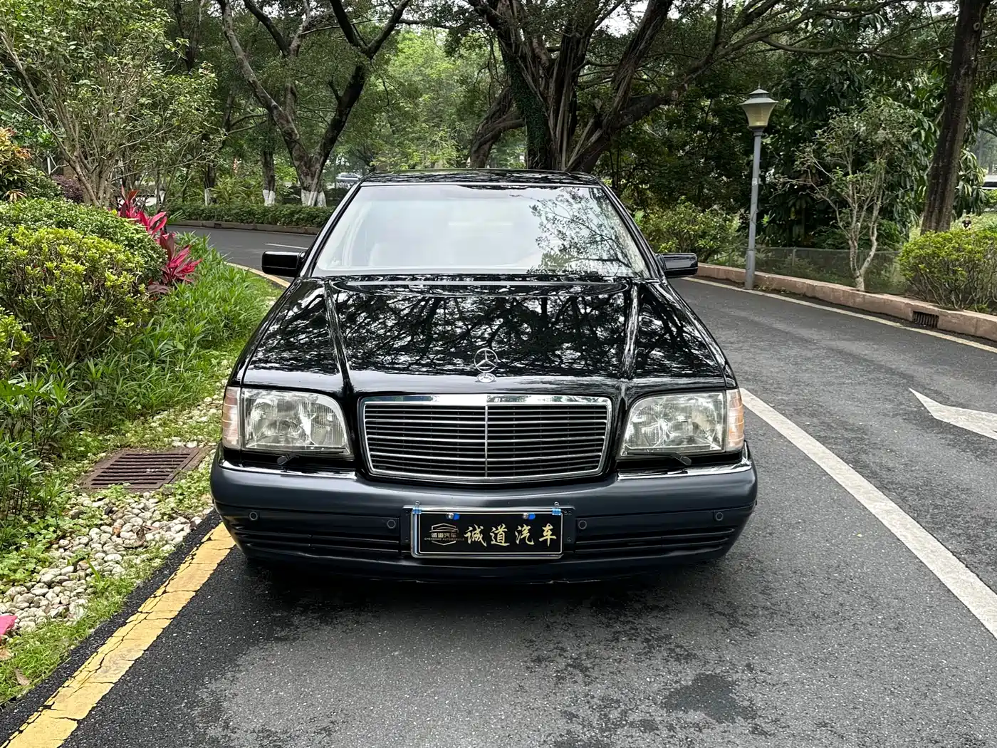Mercedes-Benz S-Class 1999 S 320 фото 2