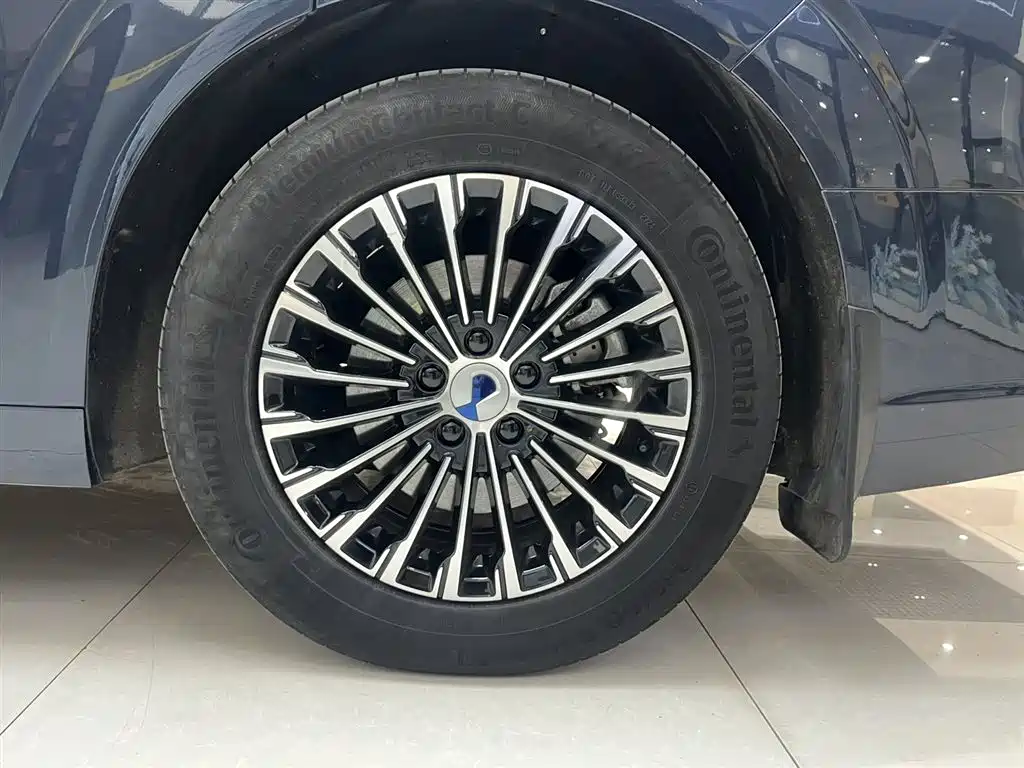 Denza D9 2022 DM-i 970 All-Wheel Drive Honor Edition фото 9