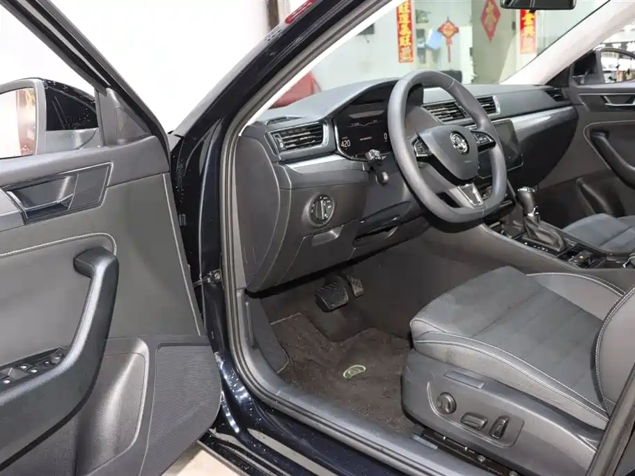 Škoda Superb 2024 TSI280 DSG Premium Edition фото 9