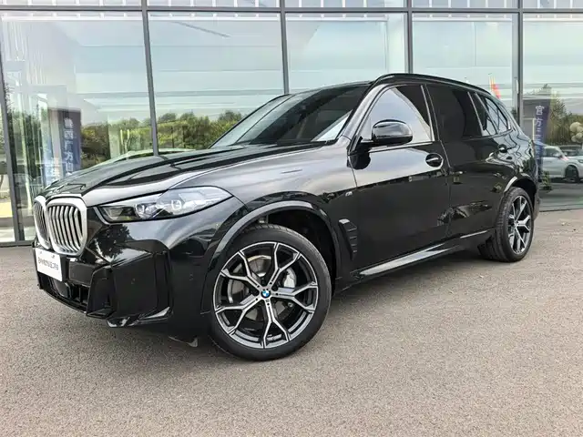 BMW X5 xDrive 30Li, Престиж, M Чёрный спорт-пакет