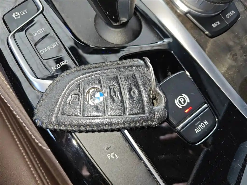 BMW 5 Series 2020 525Li M Sport Package фото 17