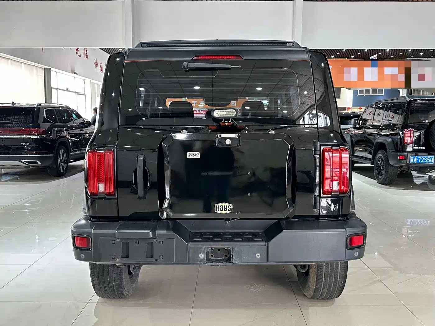 Tank 300 2021 2021 Off-road Version 2.0T Conqueror