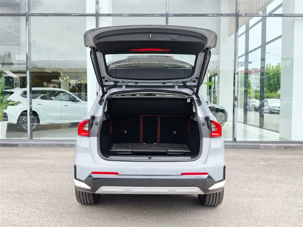 BMW X1 2025 2025 sDrive25Li X Design Package