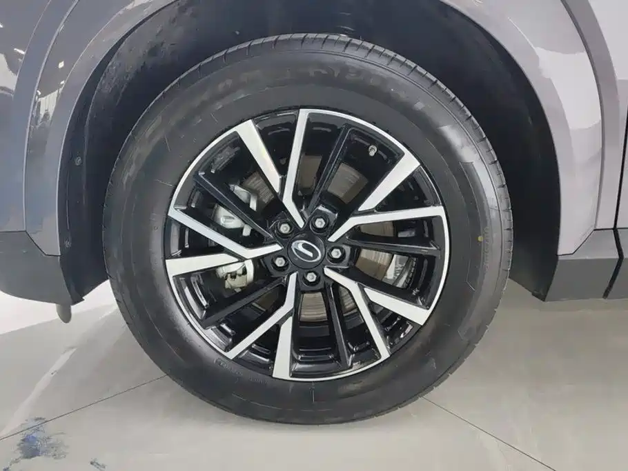 GAC Trumpchi GS4 2025 2024 MAX 1.5T Pilot Edition
