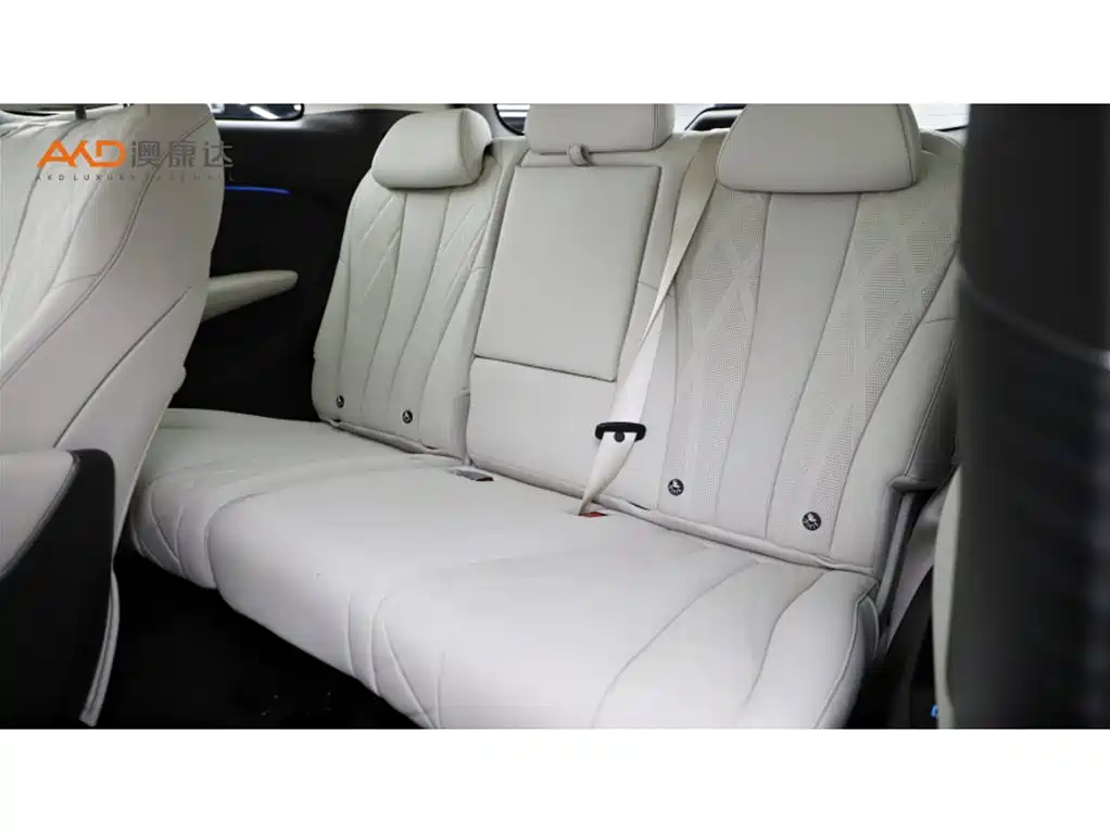 Denza D9 2025 Model DM-i Smart Drive Edition 1020 AWD Flagship фото 9