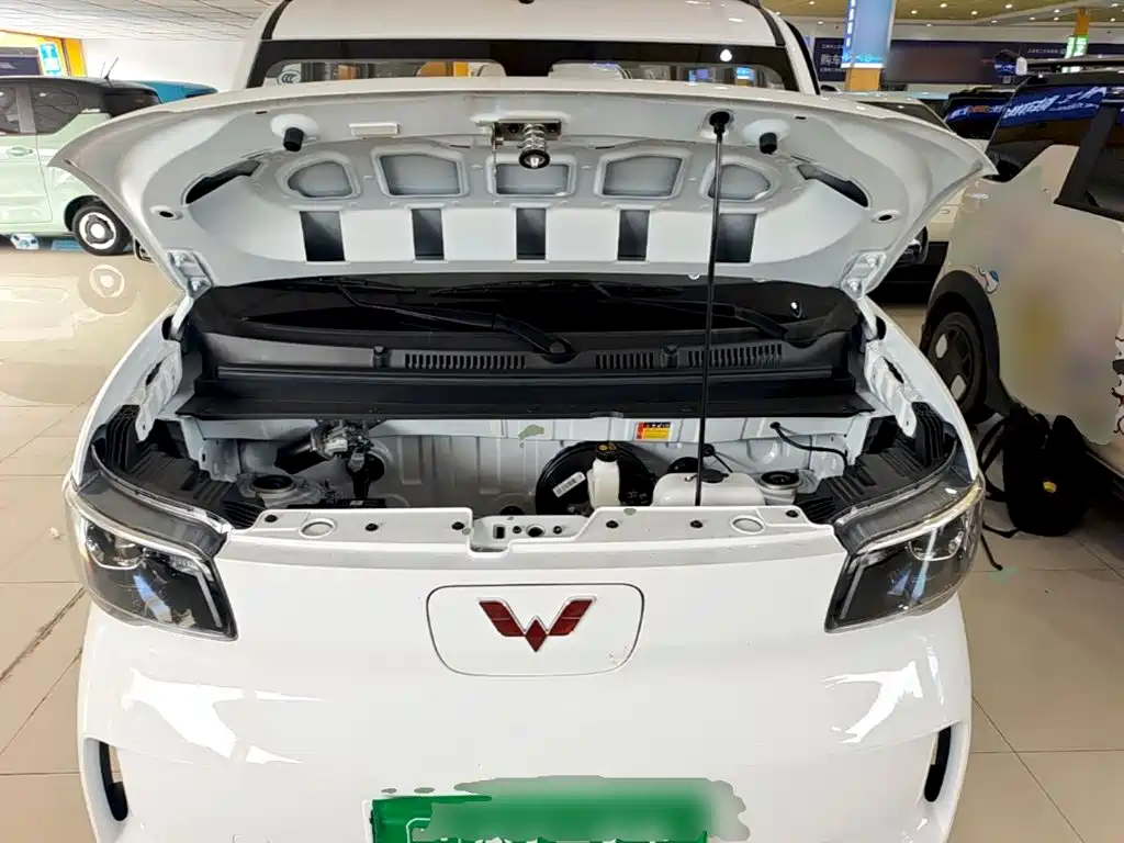 Wuling Motors Wuling Zhiguang NEV 2026 2025 Model 305km Base Version