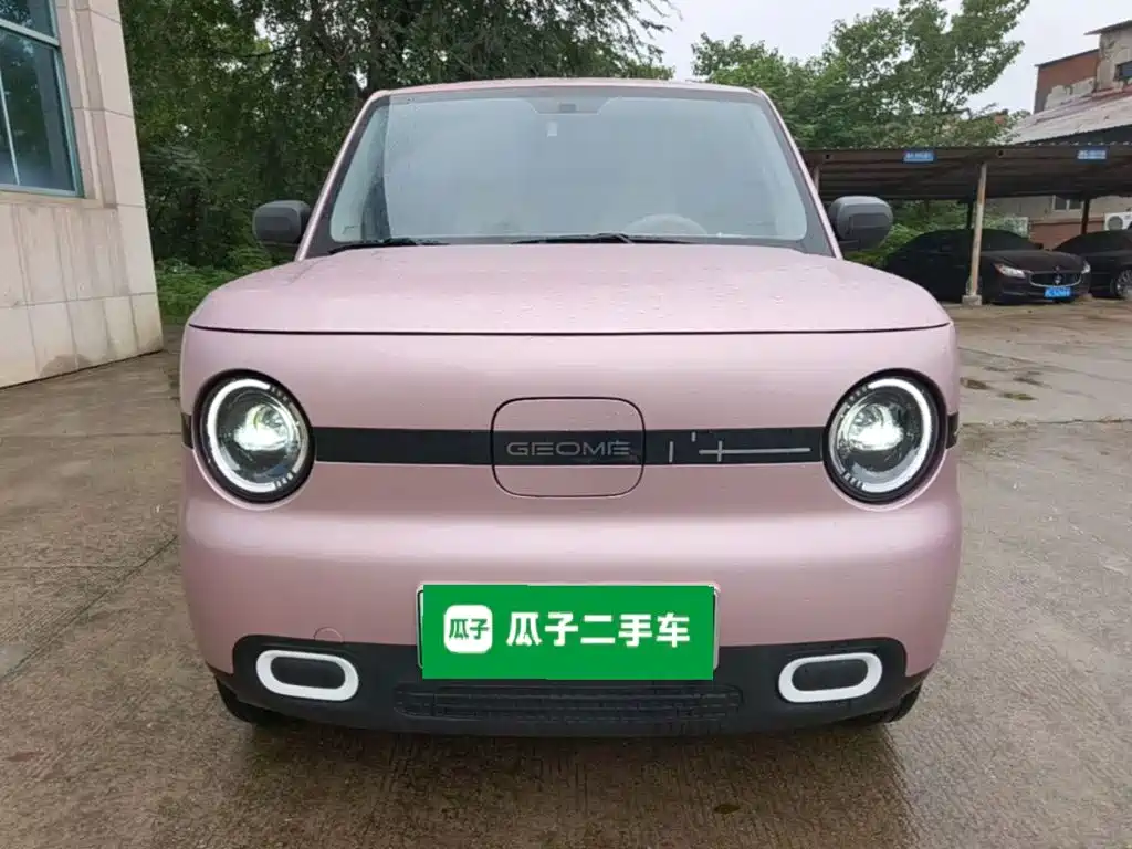 Фото 3 - Geely Galaxy Panda