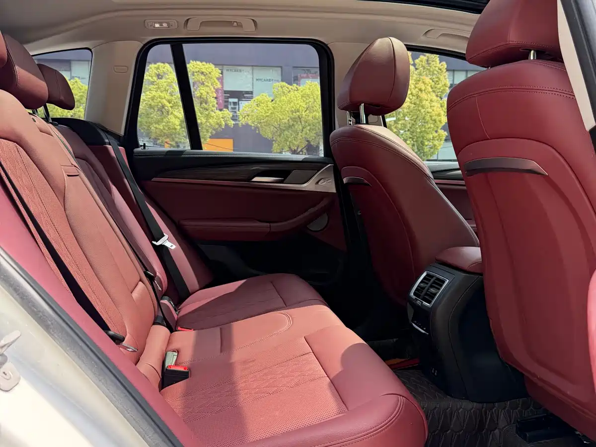 BMW X3 2022 xDrive30i Leading M Night Package фото 19