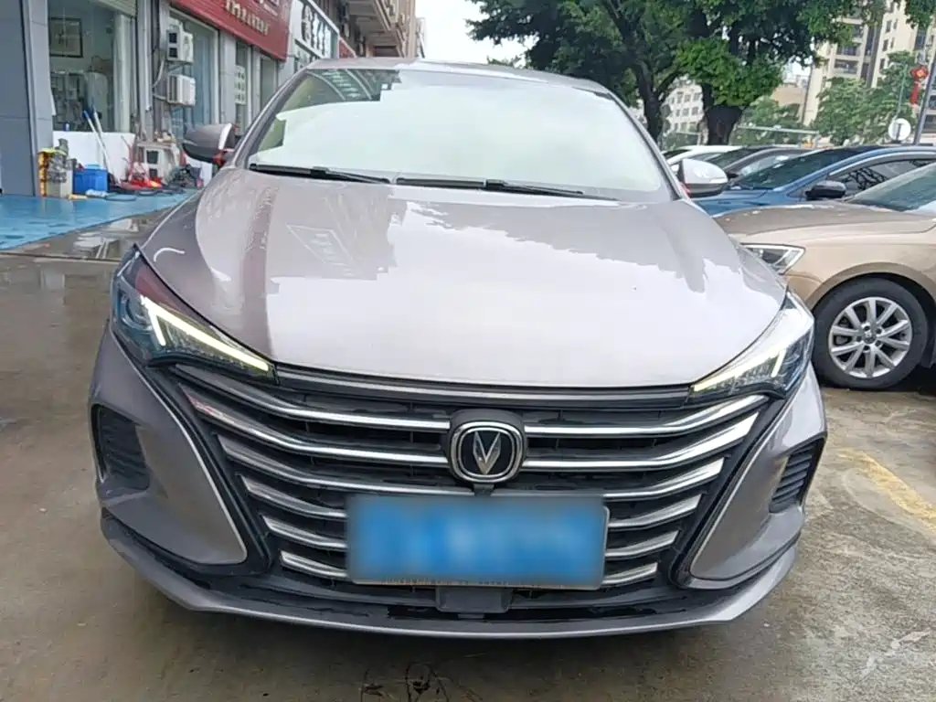 Фото 3 - Changan Eado