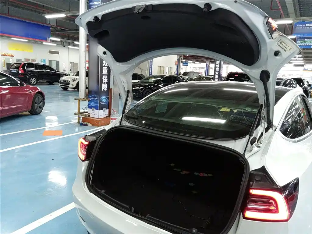 TESLA MODEL 3 (IMPORTED)