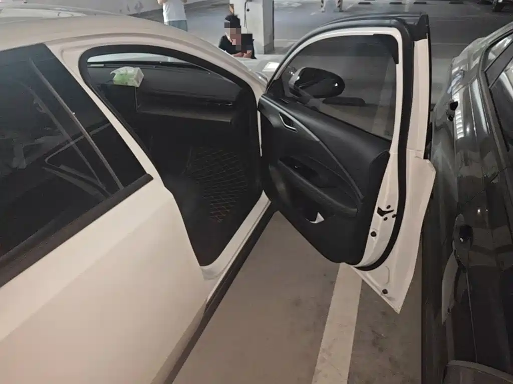 Wuling Motors Wuling Xingguang 2024 2024 Co-Creation Edition 150 Standard