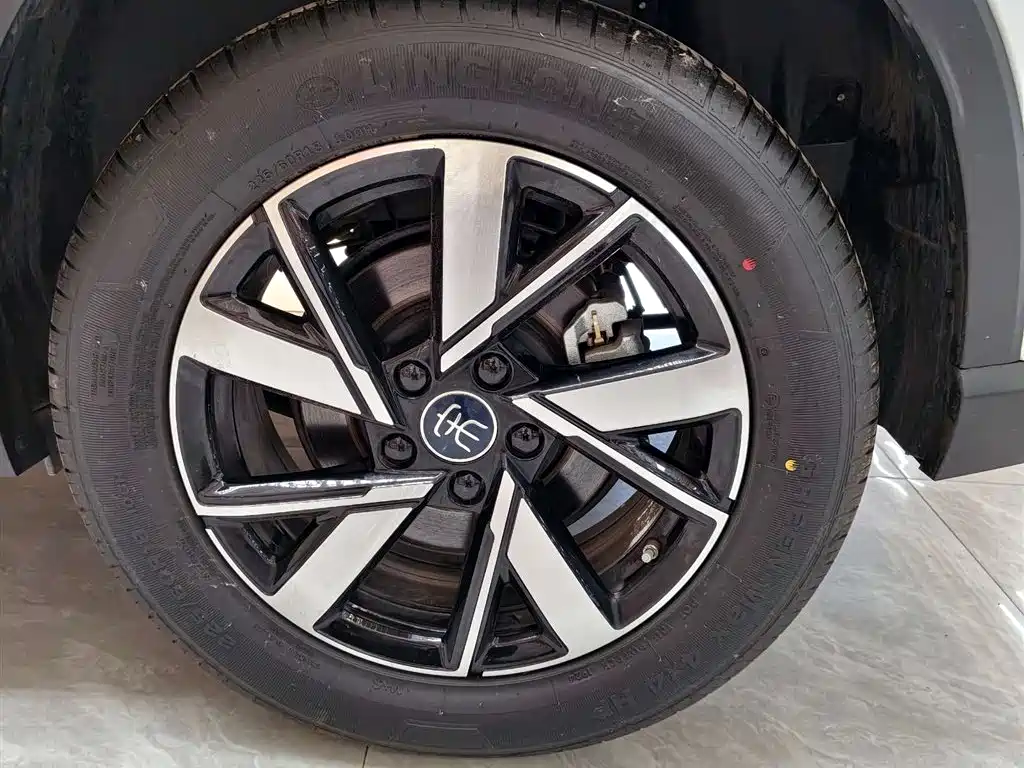 BYD Song Pro New Energy 2024 Glory Edition DM-i 71KM Pilot фото 8