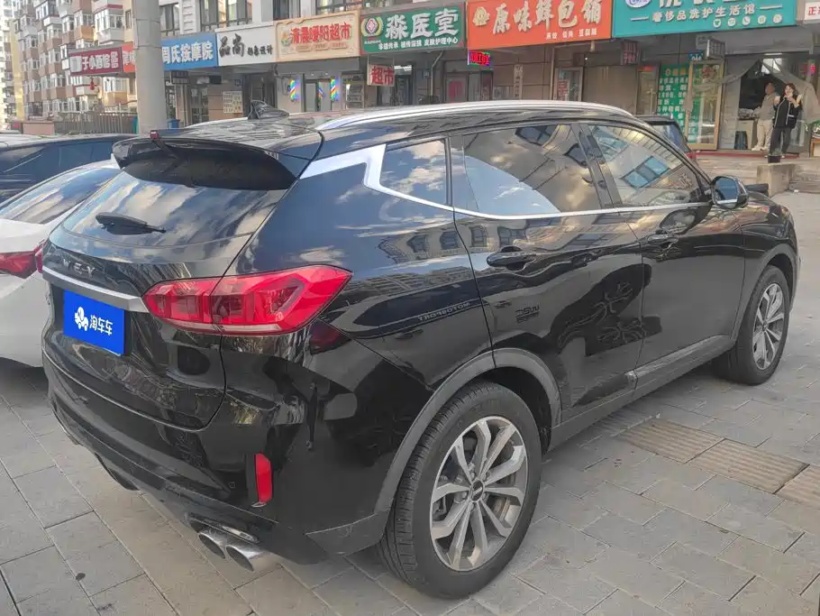 WEY VV6 2019 2020 2.0T 2WD Smart Protection+