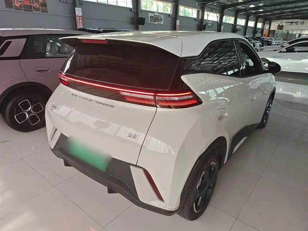 BYD Seagull 2024 Glory Edition 305km Freedom Edition фото 7