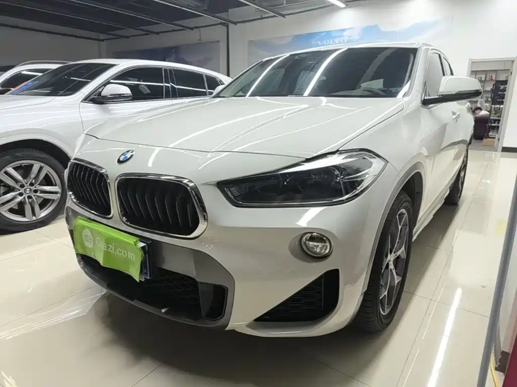 BMW X2 (Import) 2019 2019 sDrive20i M Off-Road Package China VI