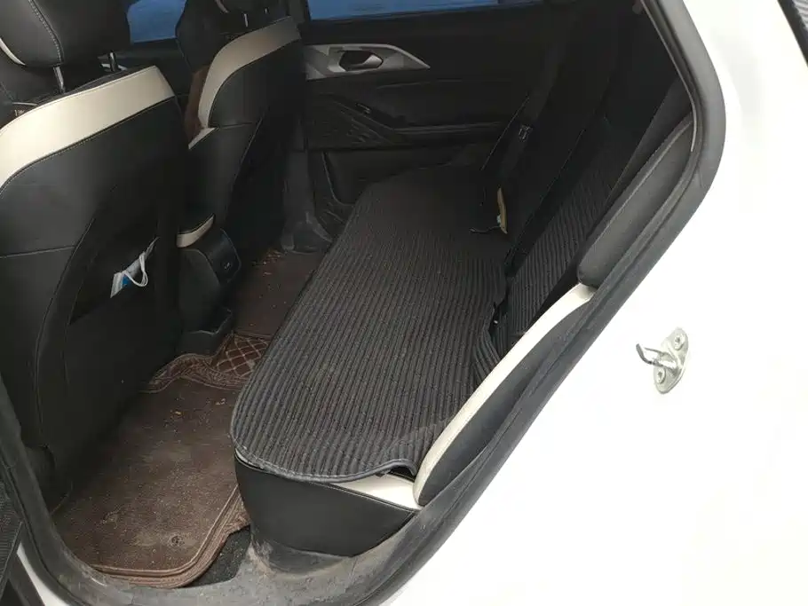 Geely Geometry E Firefly 2022 2022 401KM Delicate Tiger 4-seater