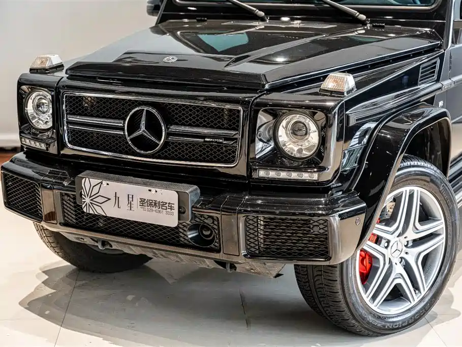 Mercedes-Benz G-Class 2017 G 500 фото 20