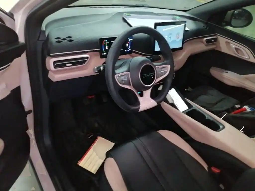 BYD Seagull 2025 Smart Drive Edition 305km Vitality Version фото 10