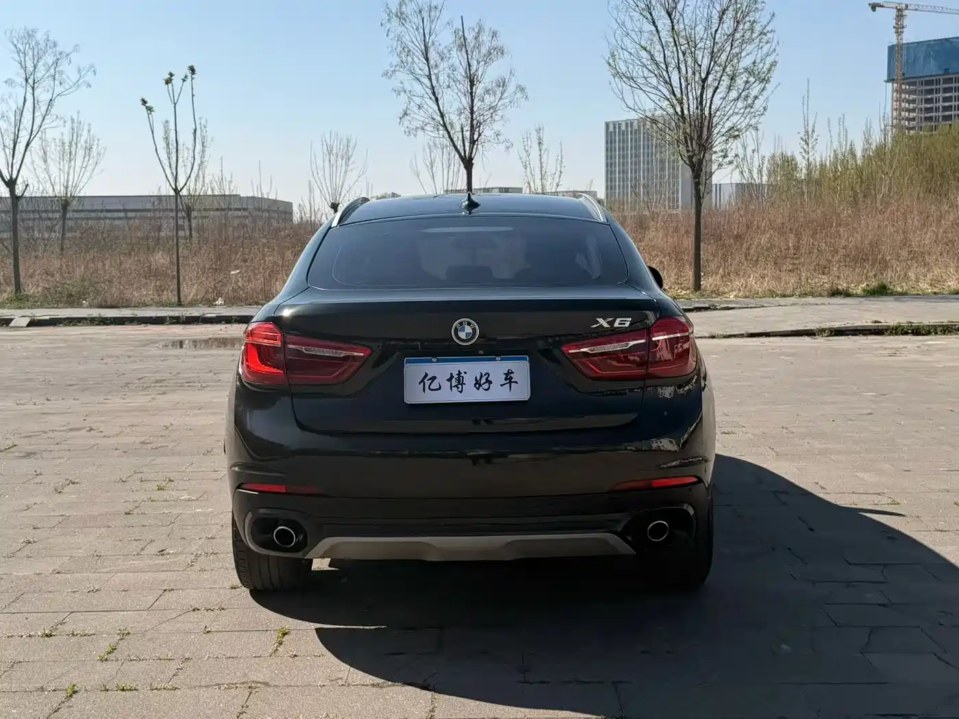 BMW X6 2015 xDrive35i Leading Type фото 8