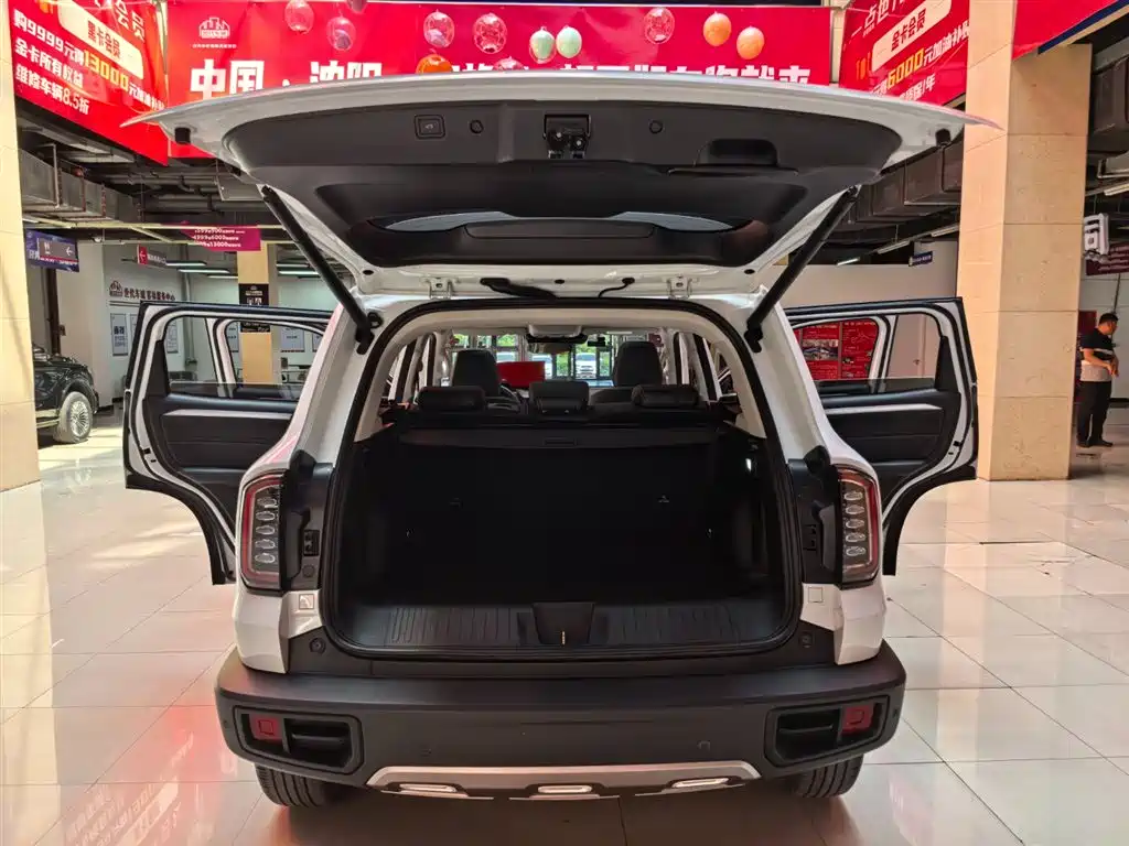 Haval Big Dog 2021 1.5T DCT 2WD Border Collie Edition фото 19