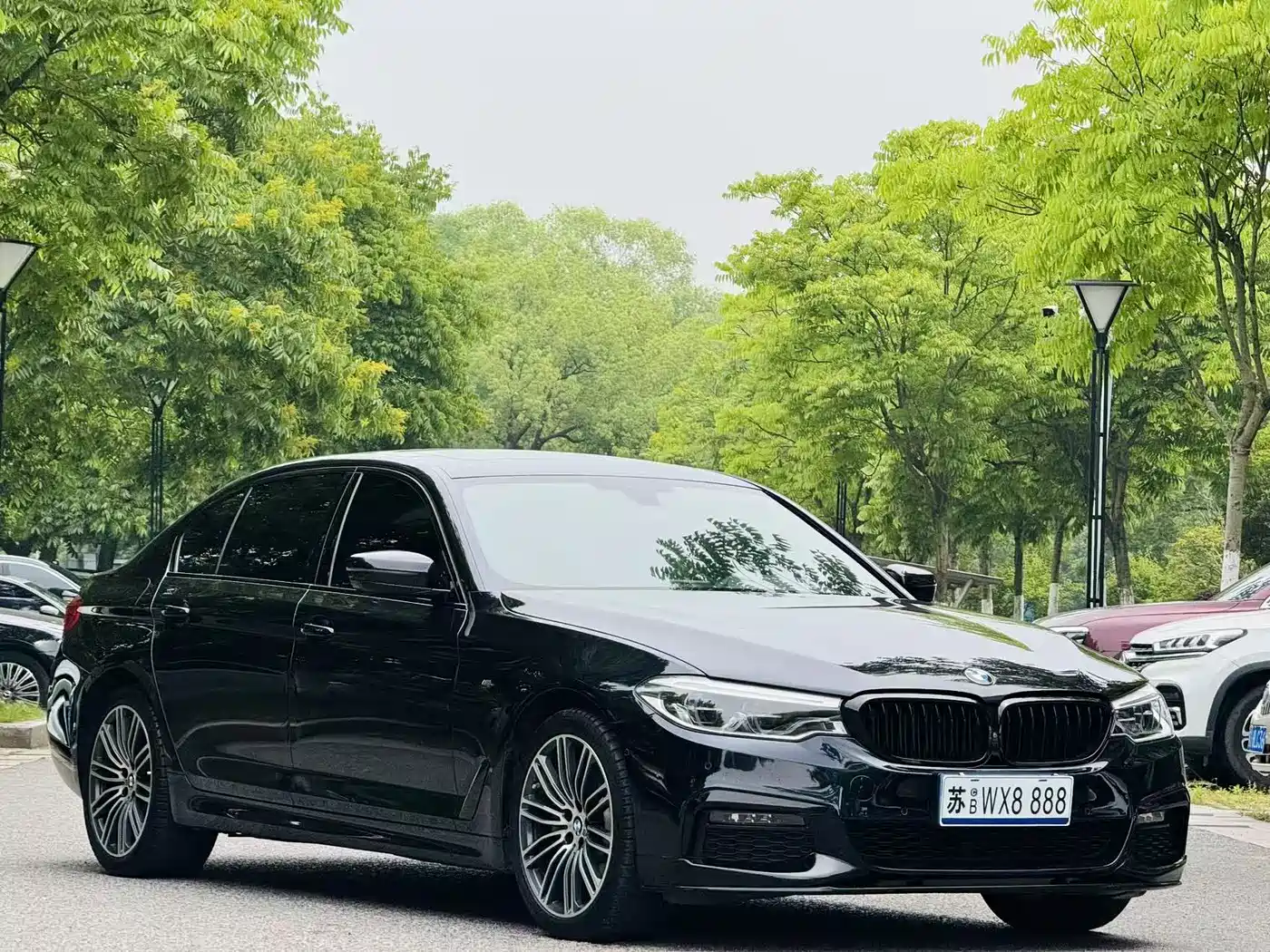 BMW 5 Series 2019 530Li Premium M Sport Package фото 3