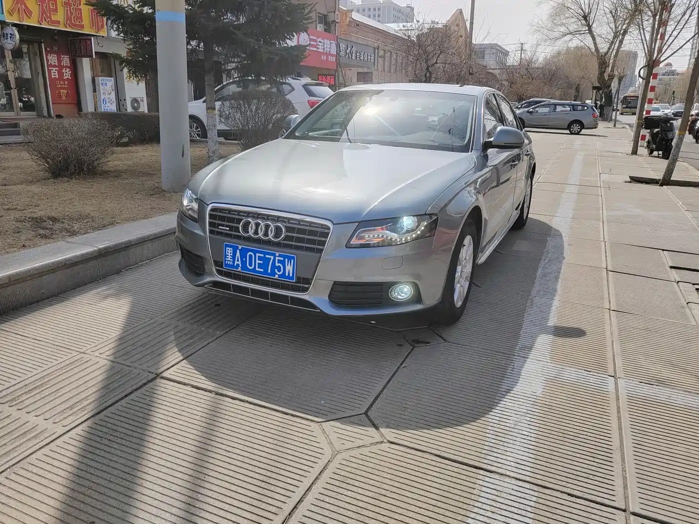 Audi A4L 2009 2.0 TFSI Standard фото 2
