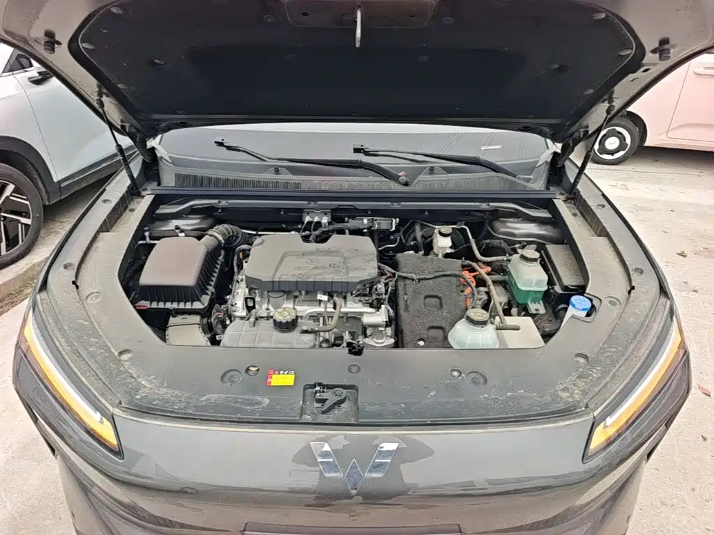 صورة 20 - Wuling Motors Wuling Xingguang S