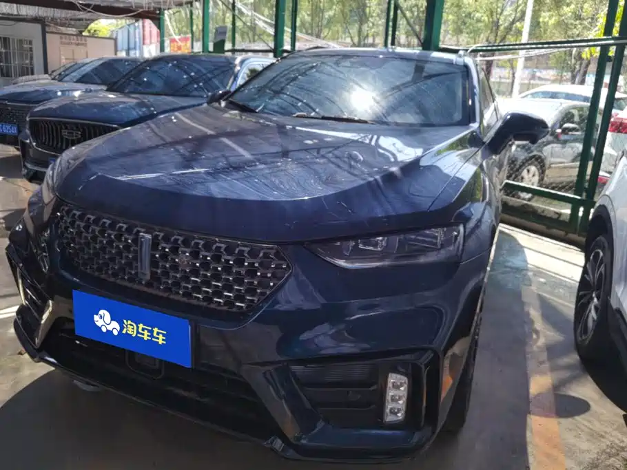 WEY VV7 2020 2020 Model 2.0T Flagship