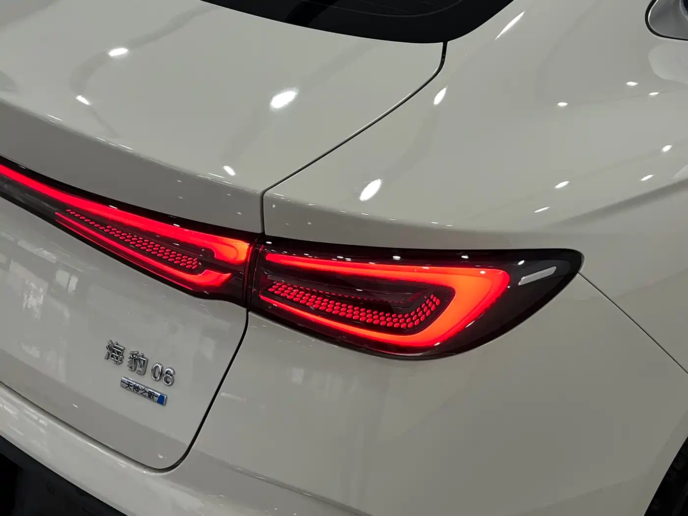 BYD Seal 06 New Energy 2025 DM-i Smart Drive Edition 120KM Luxury фото 6