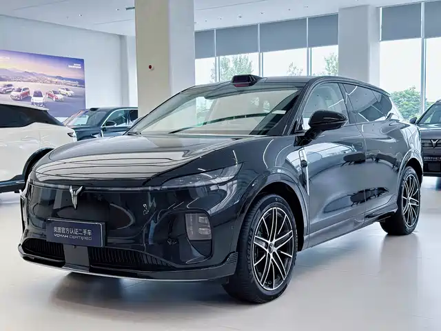 Voyah Auto Voyah Zhiyin 2025