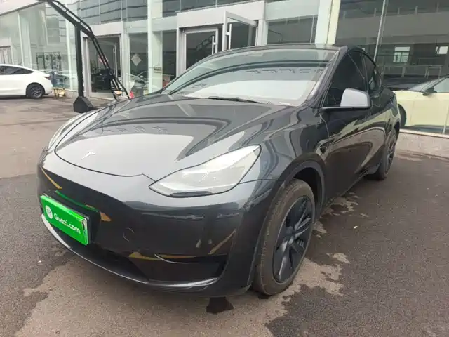 Tesla Model Y Задний привод