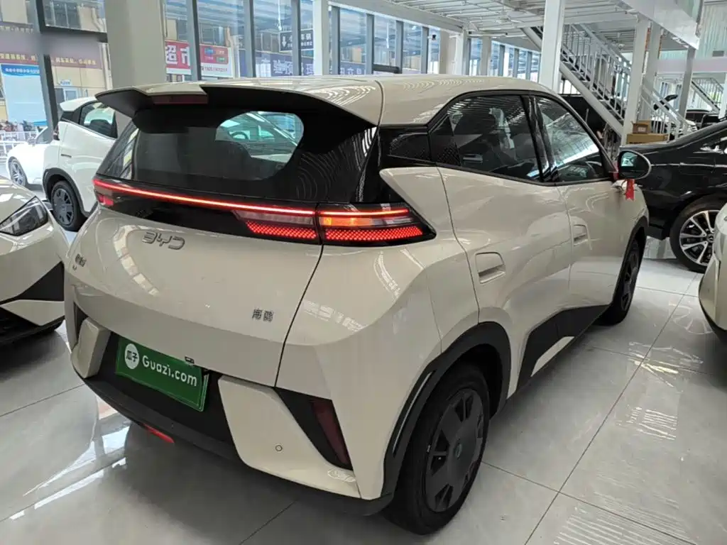 BYD Seagull 2026 2025 Smart Drive Edition 305km Vitality Version
