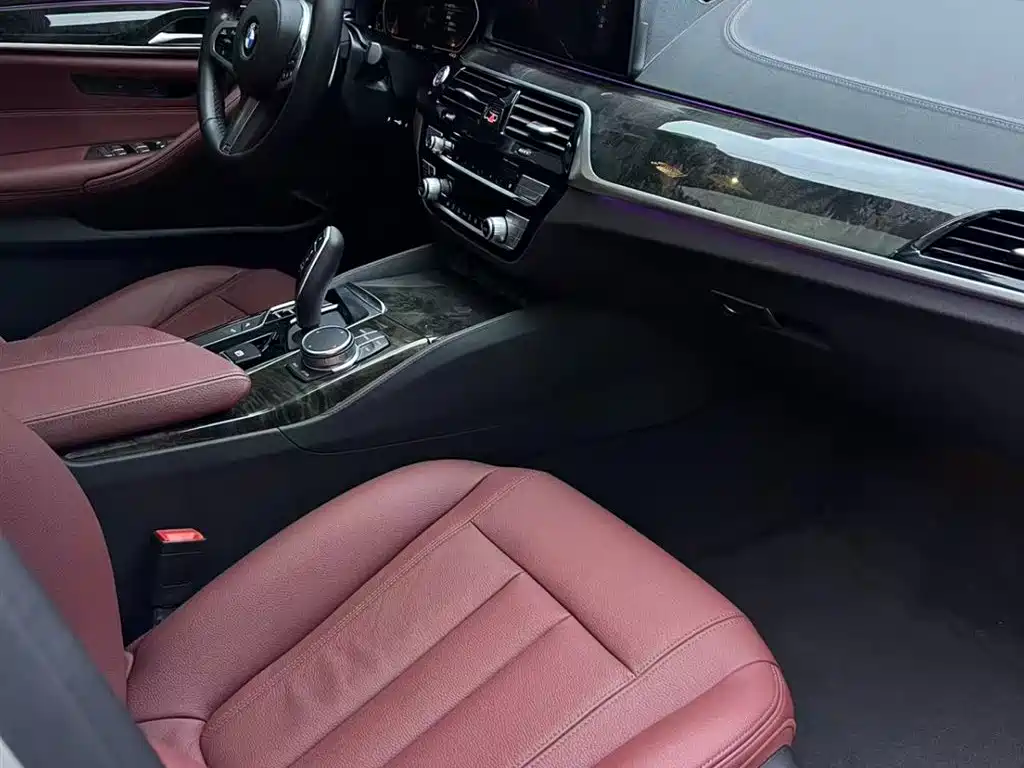 BMW 5 Series 2020 530Li Leading M Sport Package фото 8