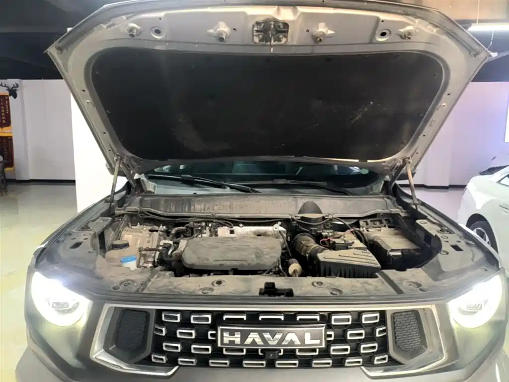 Haval Da Gou 2nd Gen 2023 1.5T 2WD Trend & Wild Edition Plus фото 20