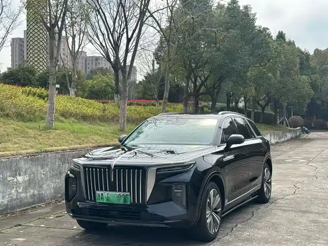 hongqi hongqi-e-hs9