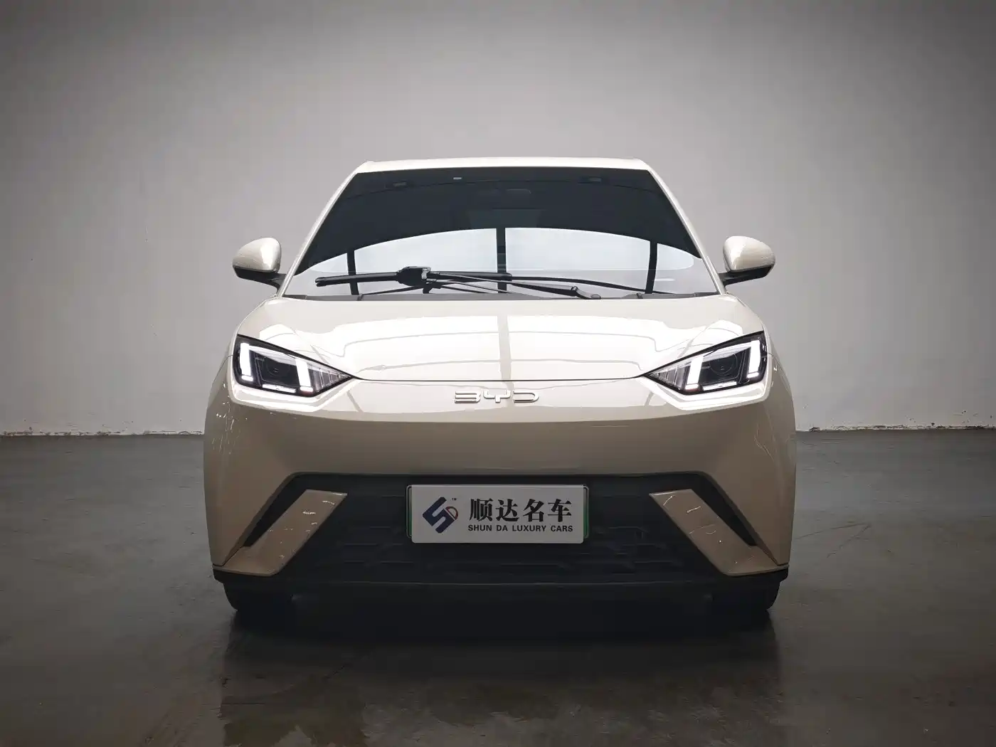 Фото 2 - BYD Seagull