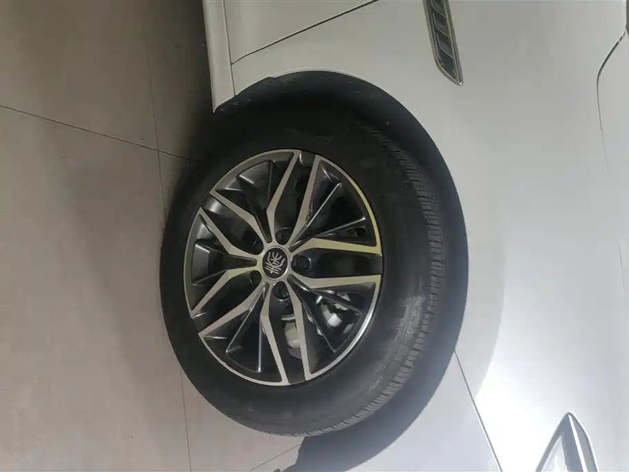 BYD Qin PLUS 2023 Champion Edition EV 510KM Advanced Type фото 6