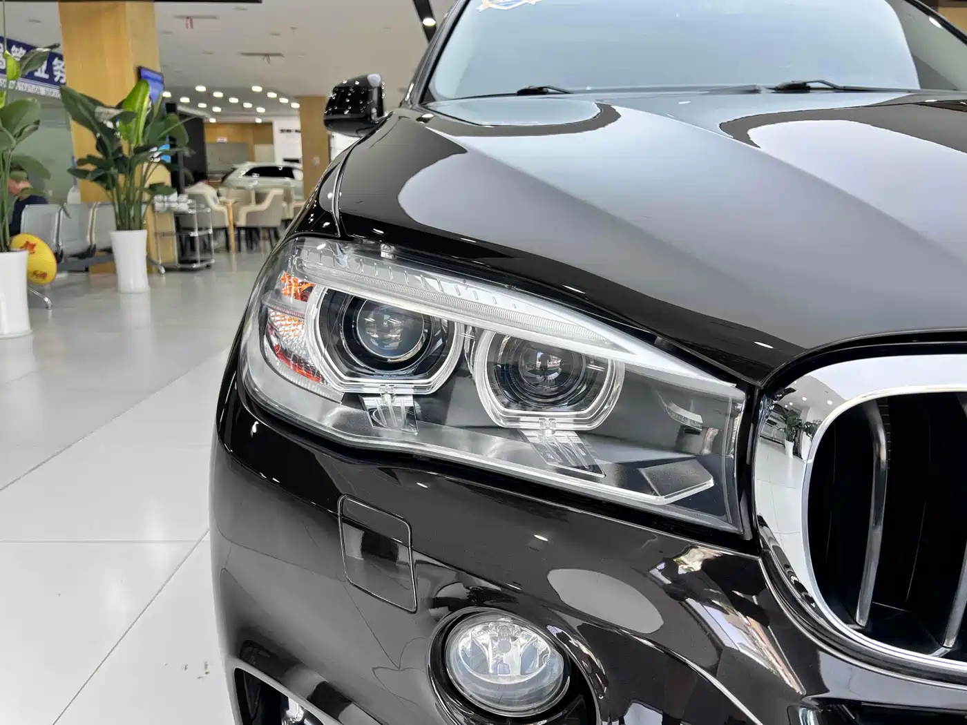 BMW X5 (Import) 2017 xDrive35i Elegance фото 10