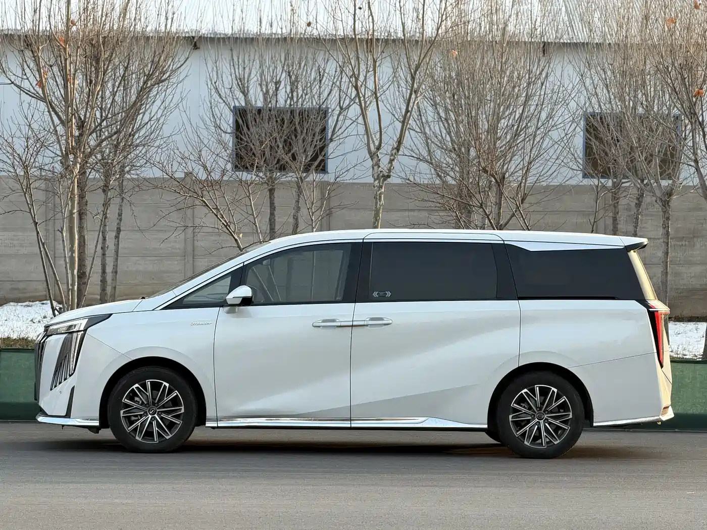 GAC Trumpchi Trumpchi M8 2024 Master Series 400T Premium Edition фото 19