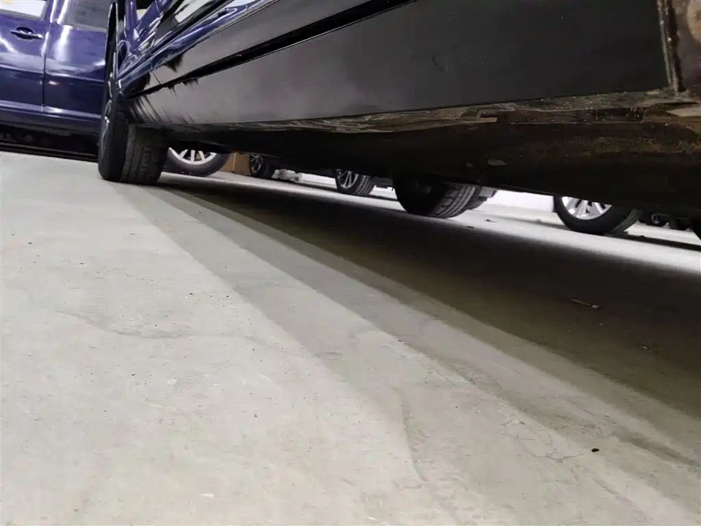 Volkswagen Magotan 2020 280TSI DSG Comfort фото 19