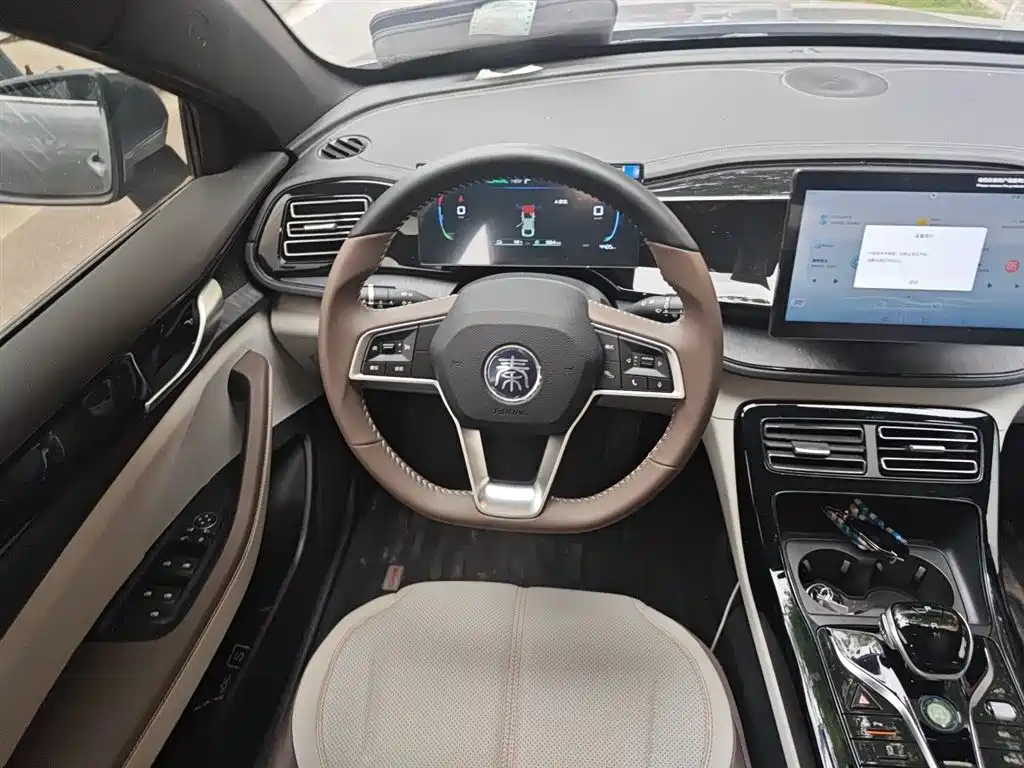 BYD Qin PLUS 2024 Glory Edition DM-i 55KM Leading фото 3