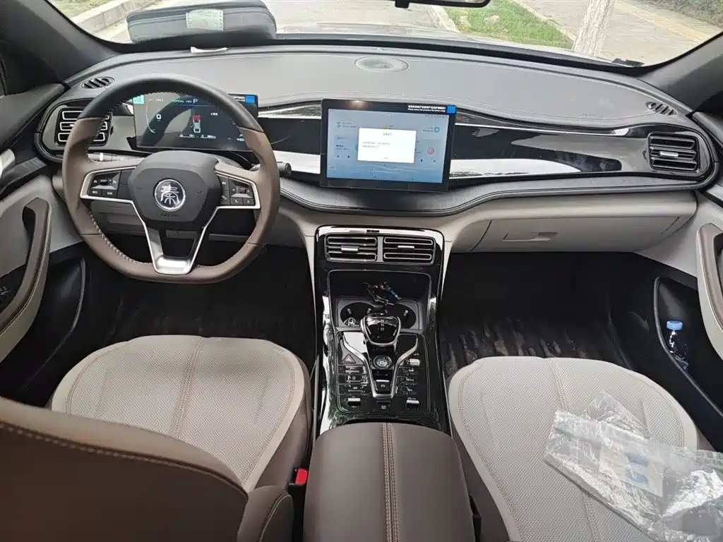 BYD Qin PLUS 2024 Glory Edition DM-i 55KM Leading фото 13