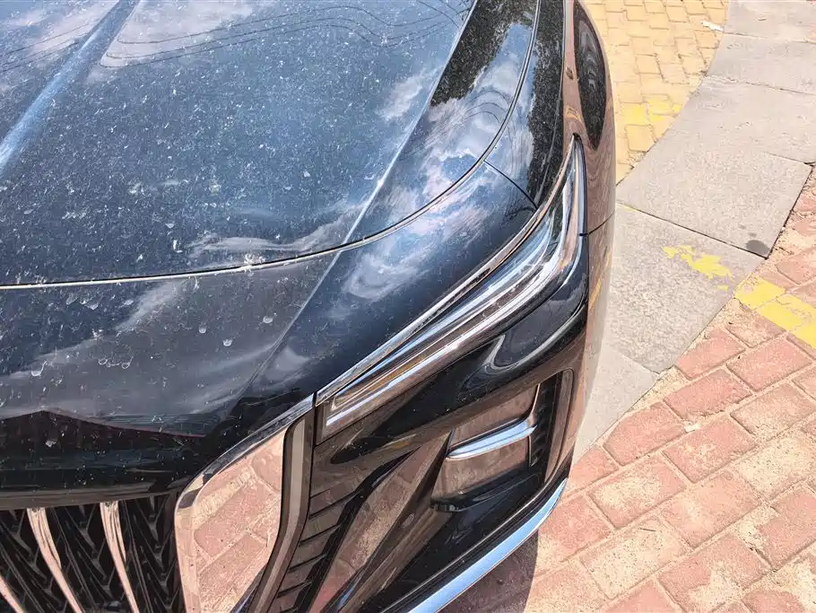 Hongqi H5 2024 2.0T Automatic Smart Connect Flag Smooth Edition фото 5