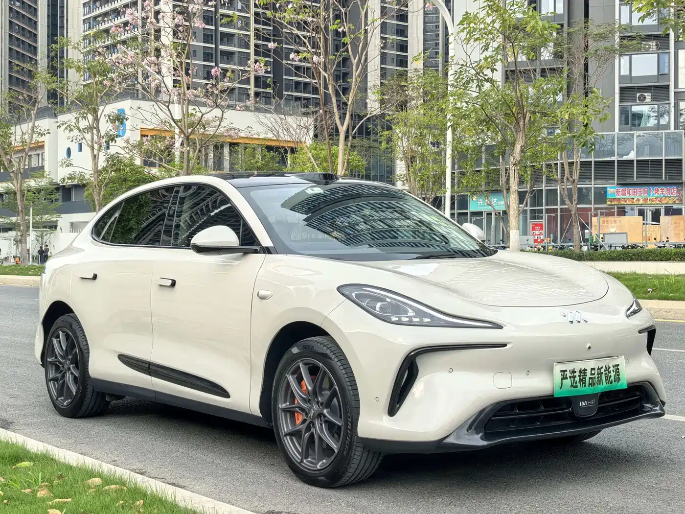 ZHIJI AUTOMOBILE ZHIJI LS6